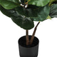 49" Tall, Artificial Plant, Fiddle Tree, Indoor, Faux, Fake, Floor, Greenery, Potted, Real Touch, Decorative - Green / Black