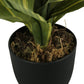 17" Tall, Artificial Plant, Dracaena, Indoor, Faux, Fake, Table, Greenery, Potted, Real Touch, Decorative - Green / Black