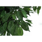 58" Tall, Artificial Plant, Ficus Tree, Indoor, Faux, Fake, Floor, Greenery, Potted, Decorative - Green / Black