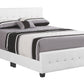 Stylish Transitional Bed