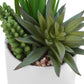 Artificial Succulent Plants (Set of 2)
