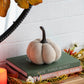 Weighted Pumpkin Ornament Decor For Holiday