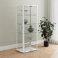 Nevra - 4 Shelf Display LED Curio Cabinet