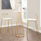 Modern Charlotte - Contemporary Fixed Height Barstool (Set of 2)