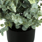 11" Tall, Artificial Plant, Eucalyptus Grass, Indoor, Faux, Fake, Table, Greenery, Potted, Decorative (Set of 2) - Green / Black