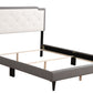 Bed (All in One Box) - Two Tone