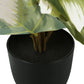 13" Tall, Artificial Plant, Monstera Calthea, Indoor, Faux, Fake, Table, Greenery, Potted, Decorative (Set of 2) - Green / Black