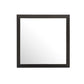 Burlington - Modern Design Transitional Wall Mirror