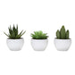 Artificial Succulent Plants (Set of 3)