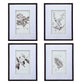 Botanical Wall Art Prints, Home Decor For Living Room Dining Room, Bedroom, Hallway (Set of 4) - White / Black