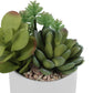 Artificial Succulent Plants (Set of 2)