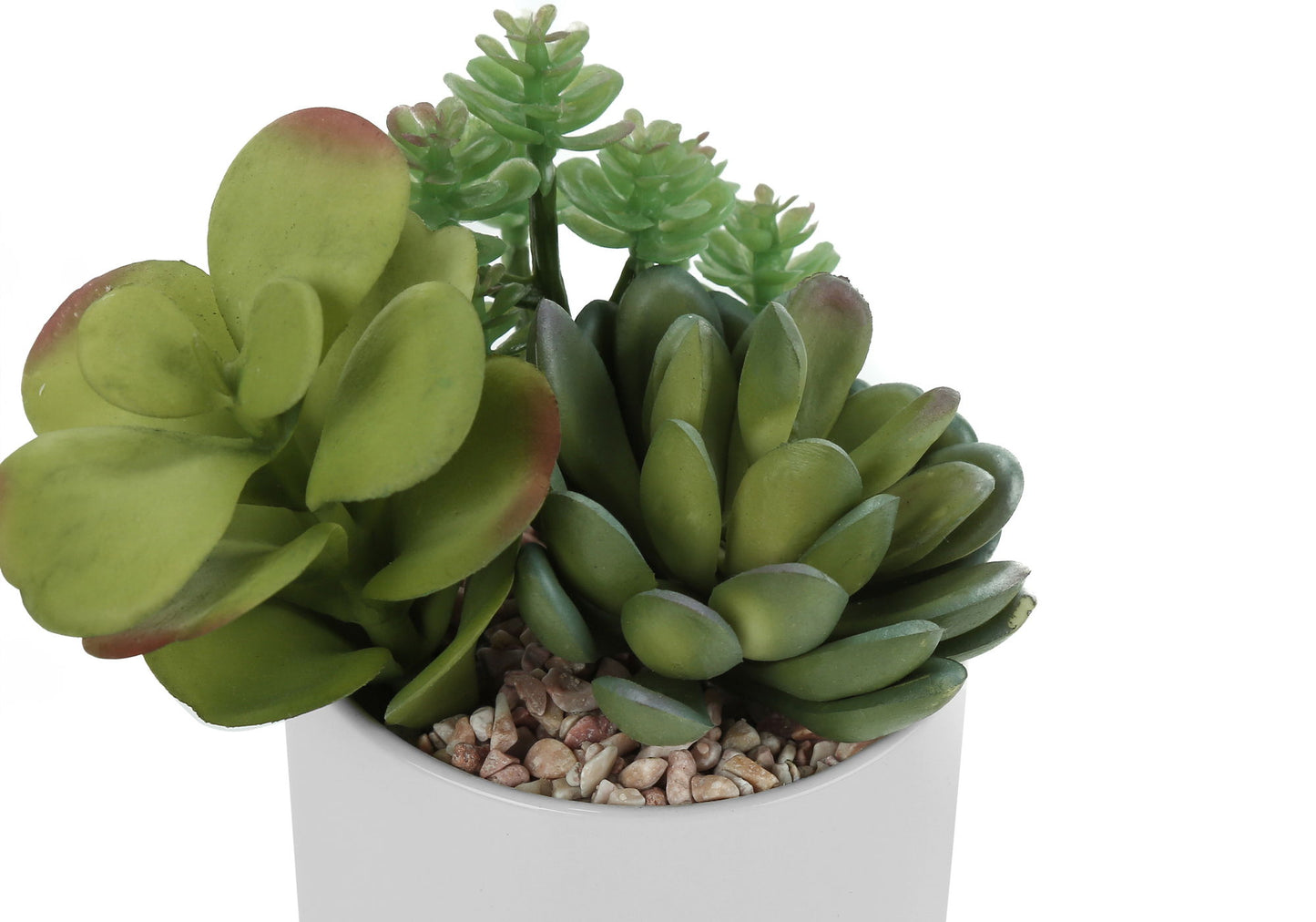Artificial Succulent Plants (Set of 2)