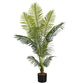 57" Tall, Artificial Plant, Palm Tree, Indoor, Faux, Fake, Floor, Greenery, Potted, Real Touch, Decorative - Green / Black