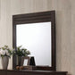 Panang - Mirror - Mahogany
