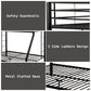 Limbra - Spacious Design Double Bunk Bed