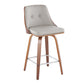 Gianna - Mid Century Modern Fixed Height Counter Stool With Swivel With Square Footrest (Set of 2)