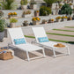 Myers - Modern Chaise Lounge Set With Adjustable Back