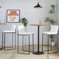 Fuji - Contemporary High Back Barstool Elegant Design