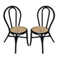 Rattan Dining Chair (Set of 2) - Black Multi
