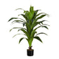 47" Tall, Artificial Plant, Dracaena Tree, Indoor, Faux, Fake, Floor, Greenery, Potted, Real Touch, Decorative - Green / Black