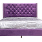 Upholstered Nailhead Trim Chic Bed