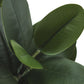 31" Tall, Artificial Plant, Garcinia Tree, Indoor, Faux, Fake, Floor, Greenery, Potted, Real Touch, Decorative - Green / White