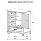 Lockeford - 5 Drawer Door Chest - White
