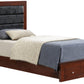 Elegant Storage Bed For Cozy Spaces