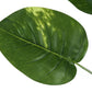 54" Tall, Artificial Plant, Dieffenbachia Tree, Indoor, Faux, Fake, Floor, Greenery, Potted, Real Touch, Decorative - Green / Black