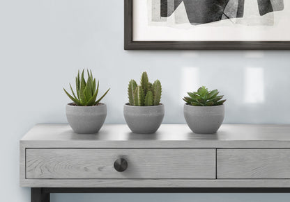 Artificial Succulent Plants (Set of 3)