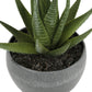Artificial Succulent Plants (Set of 3)