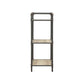Itzel - Bookshelf