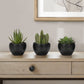 Artificial Succulent Plants (Set of 3)
