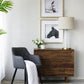 Wall Art Horse Animal Printing, Wall Decor Accent (Set of 2) - Golden / White